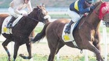 <b>GANA EL TUERTO. </b>Siberiano Tom, con anteojeras rojas, se impone en la primera carrera del día.