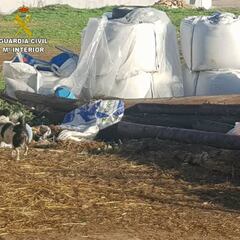 La Guardia Civil investiga a un vecino de Beas (Huelva) por robar 26 postes de telefonía