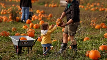 Fall tradition turns into seasonal tourist trap