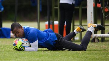 Wuilker Fariñez, arquero de Millonarios