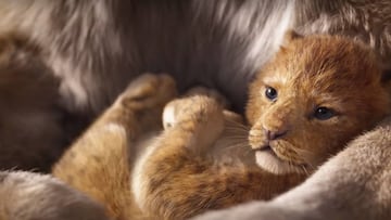 Disney presenta el primer tr&aacute;iler del remake en acci&oacute;n real de El Rey Le&oacute;n.