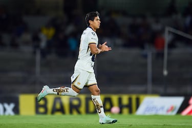 Vaso medio lleno para Pumas