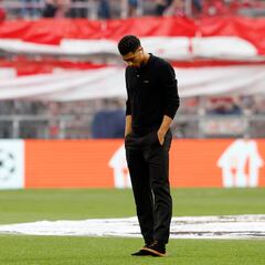 Bellingham está desconectado