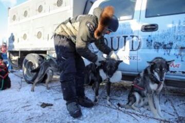 Iditarod: 1.000 km por el desierto de hielo de Alaska