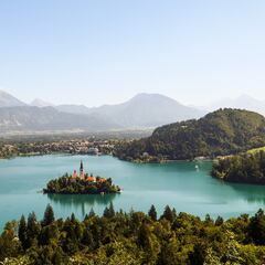 Una pareja destruye una reserva natural para montarse un césped y el mazo de la justicia cae con fuerza