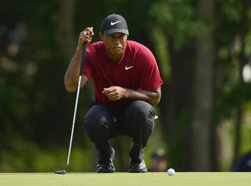 A veces envuelto en polémica el golfista sigue estando a un enorme nivel a sus 43 años. Actualmente cuenta con 14 majors, convirtiéndose así en el segundo jugador con más majors ganados en la historia de ese deporte.