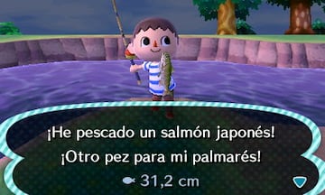 Captura de pantalla - Animal Crossing: New Leaf (3DS)