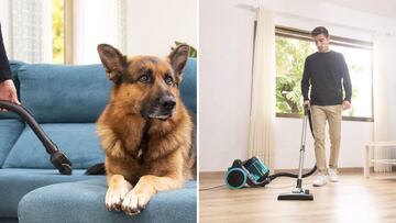 As¨ª es el mejor aspirador de trineo para eliminar el pelo de tu mascota