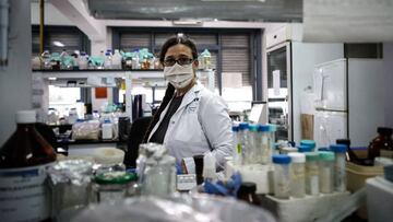 El CSIC trabaja en una vacuna que estimula la inmunidad