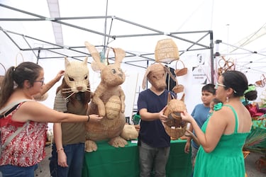 ¡Se pasaron! Los “therians” llegaron a Chimbarongo con espectaculares máscaras de mimbre