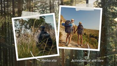 Adiós a las picaduras: el truco definitivo para mantener a raya las garrapatas este verano