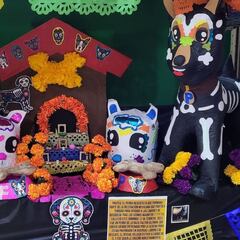 Día de Muertos 2023: cuándo se pone la ofrenda para las mascotas y qué día llegan