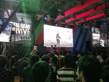 Fotografía - mgsurvive.jpg