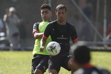 Independiente Medellín busca de la mano de Alexis Mendoza realizar una gran campaña en el segundo semestre de la Liga Águila II 