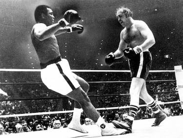 Rocky cumple 40 años