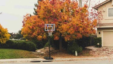 Canastas de baloncesto: diferentes tipos de tableros