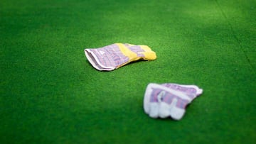 ¿Cómo se cuida el césped artificial? Mantenimiento y limpieza