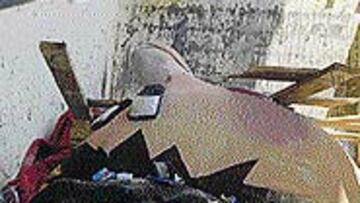 Así encontraron a Rojillo.