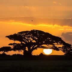 Siete consejos que te harán despertar más feliz y más concentrado