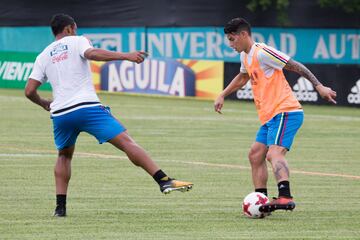 El martes Pékerman trabajará con los 26 convocados.