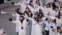 La fuerza del deporte une a las dos Coreas en el desfile