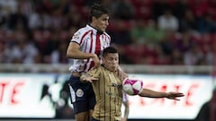 El Pumas vs Chivas de la jornada 12 del Clausura 2019 ser&aacute; este domingo 31 de marzo a las 12:00 horas.