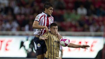 El Pumas vs Chivas de la jornada 12 del Clausura 2019 ser&aacute; este domingo 31 de marzo a las 12:00 horas.