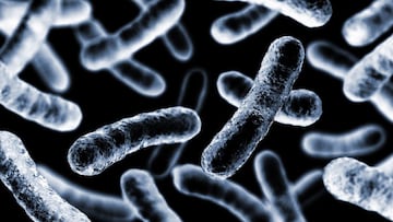 Así es Klebsiella Oxytoca, la mortal bacteria por la que México emite alerta epidemiológica