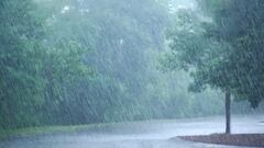 La ciudad en la que más llueve del mundo y la más lluviosa de España