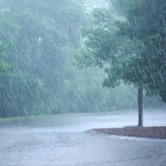 La ciudad en la que más llueve del mundo y la más lluviosa de España