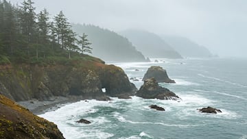 A Virginia Tech geoscience professor has delivered a study that examines the risk of major coastal flooding in Washington, Oregon, and Northern California.