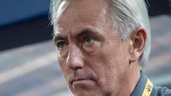 Socceroos hire Bert van Marwijk as new head coach