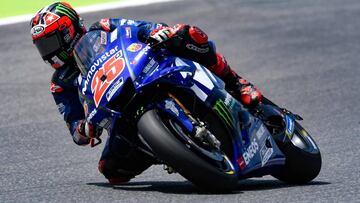 Maverick Vi&ntilde;ales.