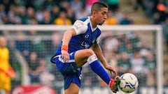 Vilca ilusiona en Doncaster