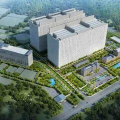 China crea rascacielos para criar cerdos