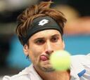 Ferrer gana en Viena y se
queda a un paso del Masters