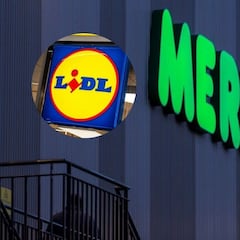 Hace la misma compra en Mercadona y Lidl, compara los precios y sentencia: “Está bastante bien”