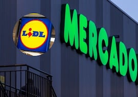 Hace la misma compra en Mercadona y Lidl, compara los precios y sentencia: “Está bastante bien”