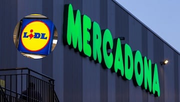 Hace la misma compra en Mercadona y Lidl, compara los precios y sentencia: “Está bastante bien”