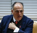 Ahora Madrid y PSOE piden a Tebas que retire la querella a varios aficionados del Rayo