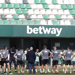 Pellegrini, ante el estigma bético de las tres competiciones