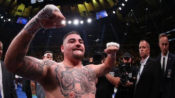 Seg&uacute;n fuentes cercanas a ESPN, Andy Ruiz y Chris Arreola ya tendr&iacute;an un acuerdo para enfrentarse este mismo 2020, aunque se desconocen los t&eacute;rminos.