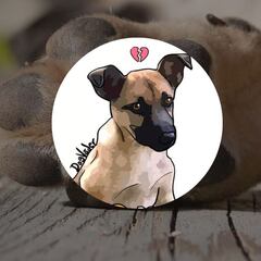 Justicia para Benito: Qué le pasó al perrito y cuál es la pena por maltrato animal en Edomex