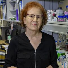 Margarita del Val señala cuándo será la ola de otoño en España