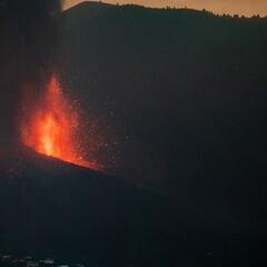 Subasta solidaria de Las Palmas