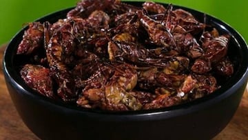 Un nutritivo plato de saltamontes asados que se podrá comer en el Safeco Field, hogar de los Seattle Mariners.
