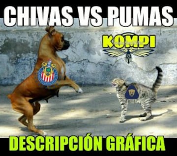 Chivas mantiene su paternidad sobre Pumas y los memes aplauden