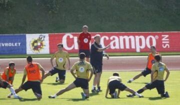 Después de un breve paso con Besiktas y el Cádiz, cogió las riendas del combinado Nacional en julio de 2008, en sustitución de Luis Aragonés.