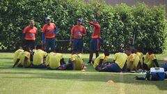 Brasil - Colombia: Horarios, TV y cómo ver online