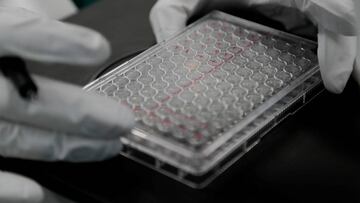 Ensayos a gran escala de la vacuna de Oxford en Reino Unido y Brasil